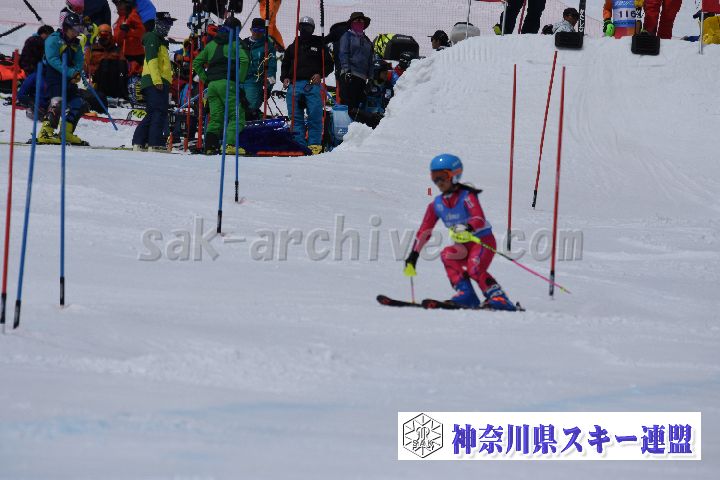 190317_104924_0.jpg