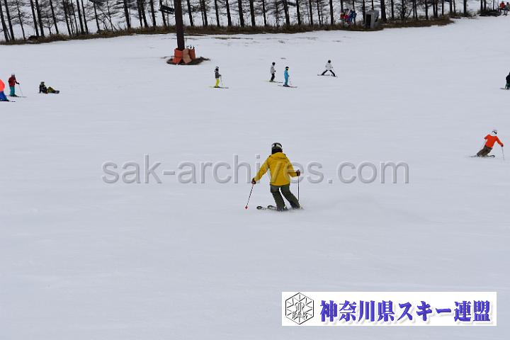 190323_114928_0.jpg