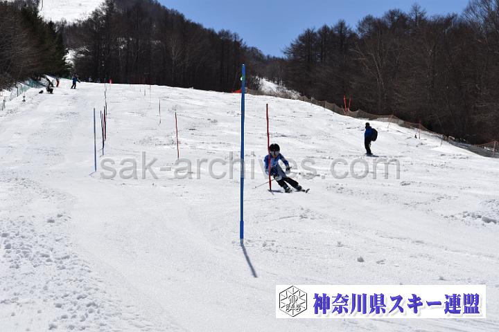 190406_130104_0.jpg