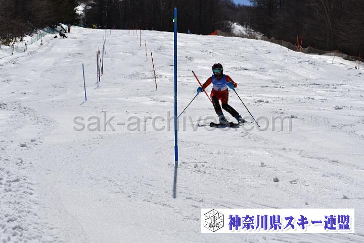 190406_130504_0.jpg