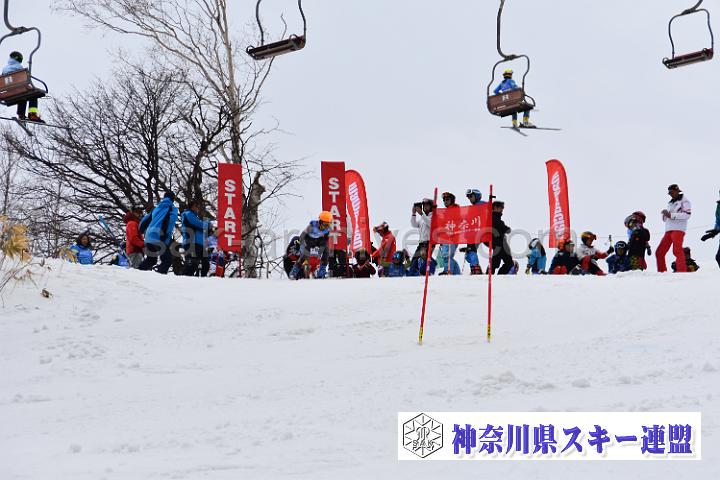 190407_095343_0.jpg