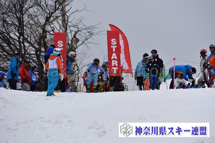 190407_103928_0.jpg