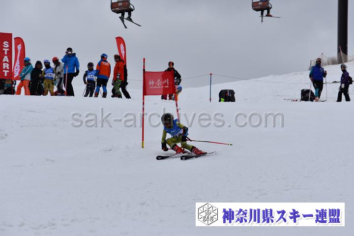 190407_110116_0.jpg