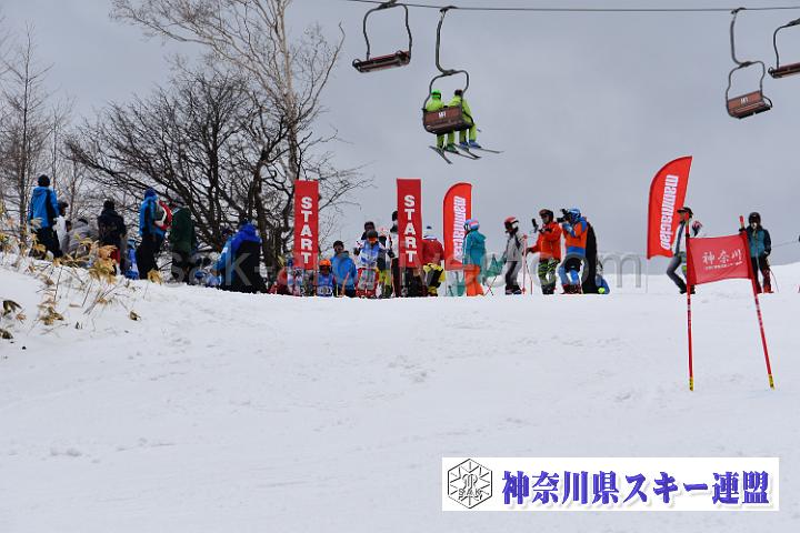 190407_110518_0.jpg