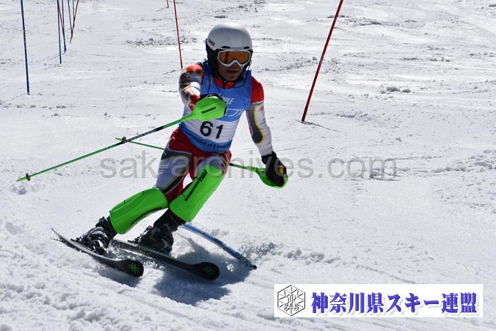 190406_132210_0.jpg