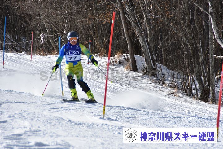 231223_111039_0.jpg
