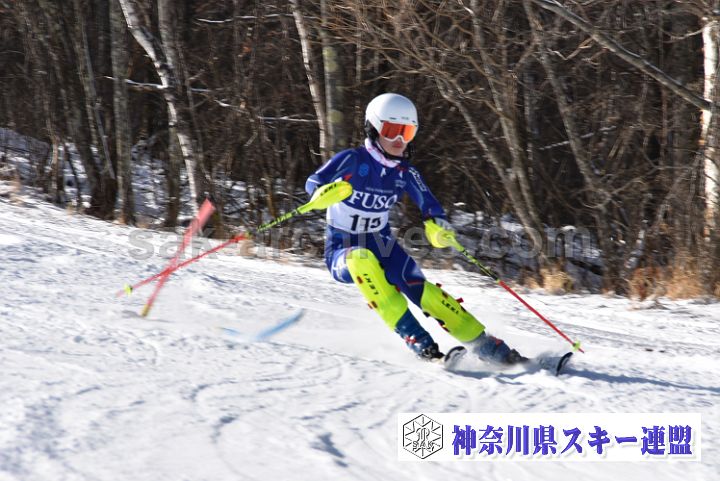 231223_114329_0.jpg